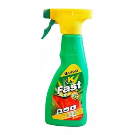 fast 250 ml rozpr..jpg