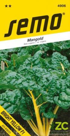 mangol Bright yellow.jpeg